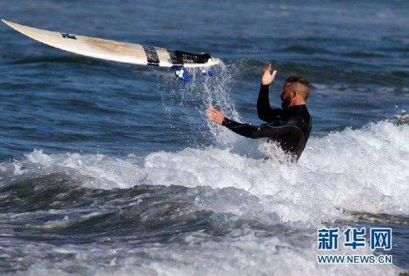 什么动物是成年河马的对手游戏画面