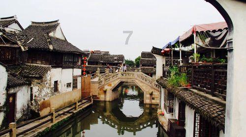 射击红色鸟